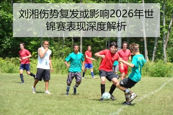刘湘伤势复发或影响2026年世锦赛表现深度解析